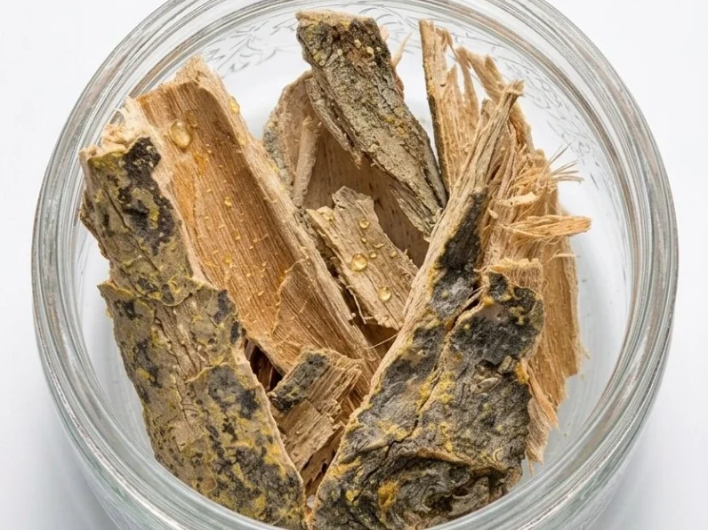 Écorce de manguier séchée (Aldanke Mangifera indica