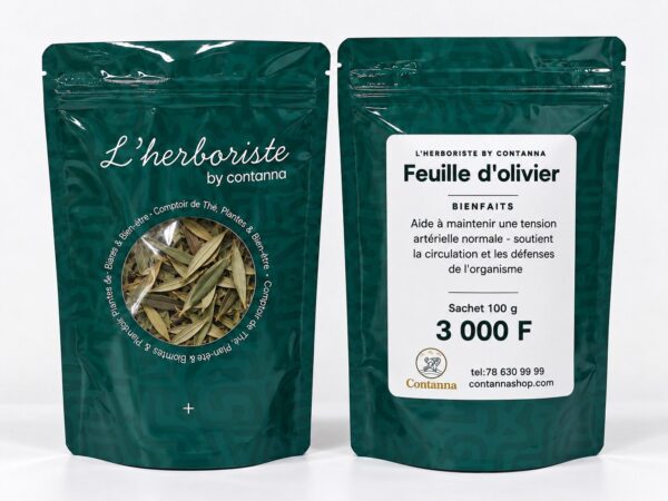 feuille d olivier